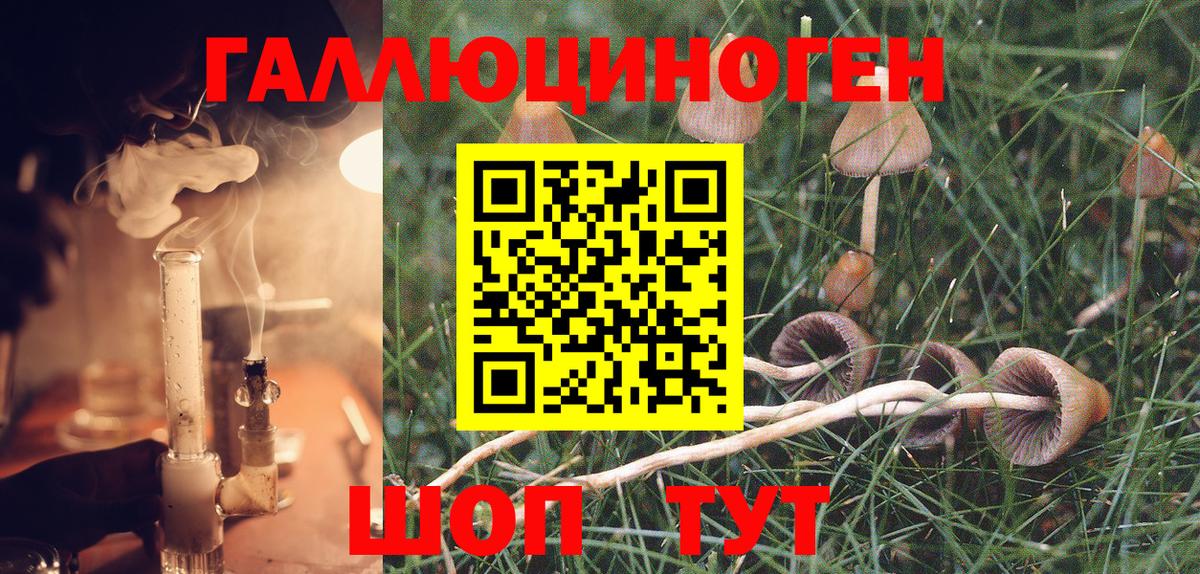 Псилоцибиновые грибы Cubensis  Десногорск  Галлюциногенные грибы Cubensis 