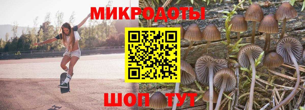 Псилоцибиновые грибы Cubensis  Галлюциногенные грибы мухоморы  Десногорск  Вход с VPN 